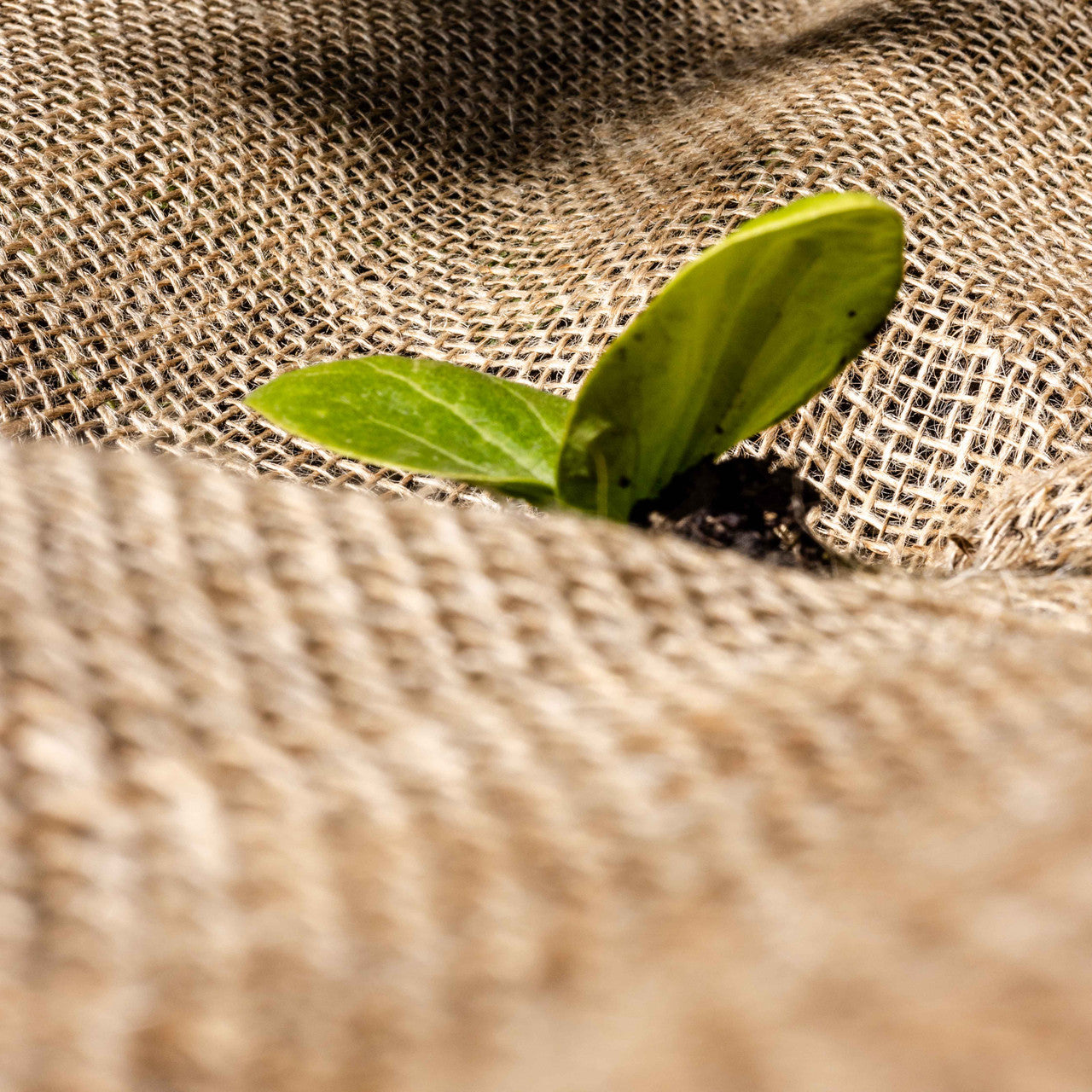 Natural Hessian Roll – 100% Jute Fabric for Garden & Construction