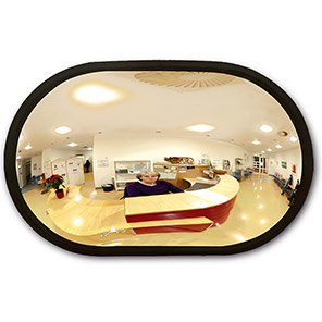 DETECTIVE Oval Convex Observation Mirror