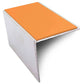 NSL19 Tredsafe 56 x 55mm DDA-Compliant Aluminium Stair Nosing with PVC Insert