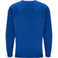 Crew-Neck Sweatshirt