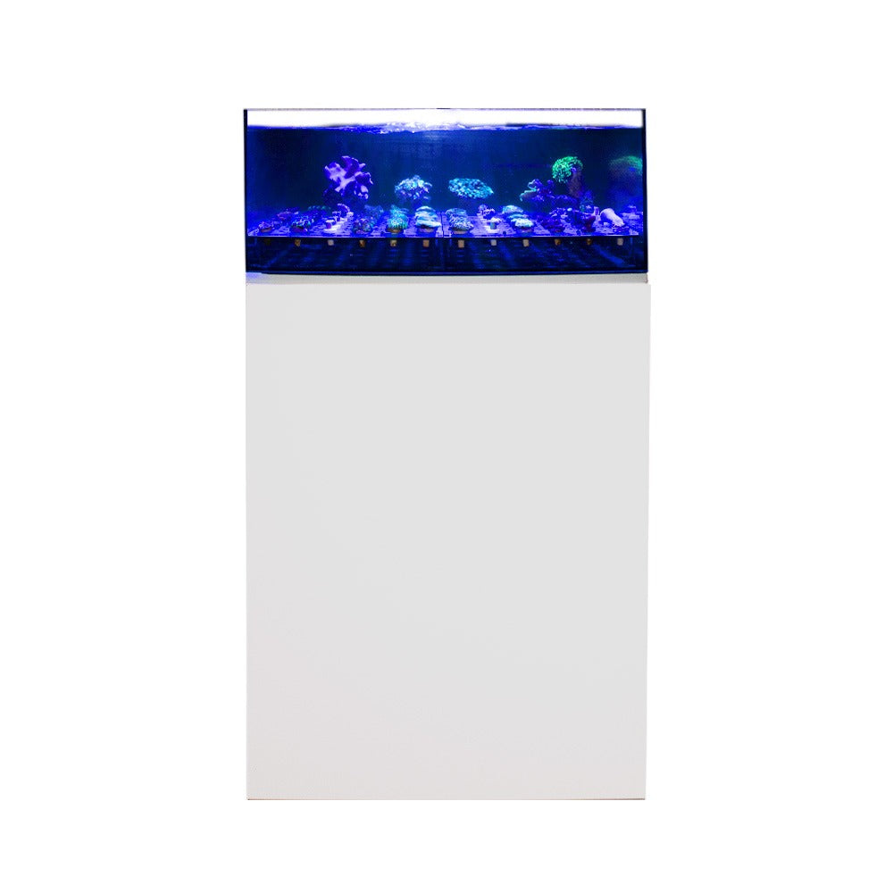 60cm Coral Frag Tank & Cabinet Set – 75L Shallow Reef Aquarium System with Pre-Drilled Pipework