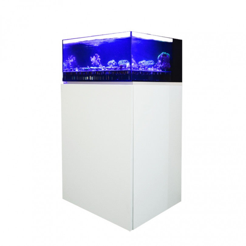60cm Coral Frag Tank & Cabinet Set – 75L Shallow Reef Aquarium System with Pre-Drilled Pipework